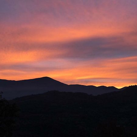 La Banditaccia Monticello Amiata Eksteriør bilde
