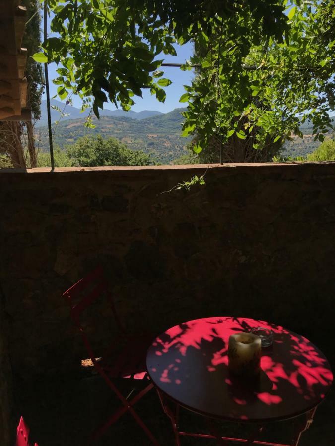 La Banditaccia Monticello Amiata Eksteriør bilde