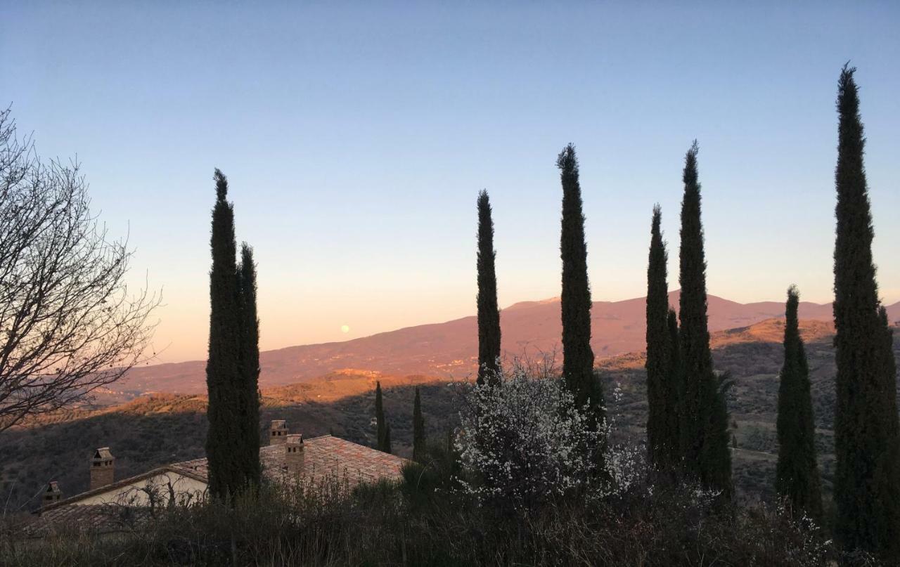 La Banditaccia Monticello Amiata Eksteriør bilde