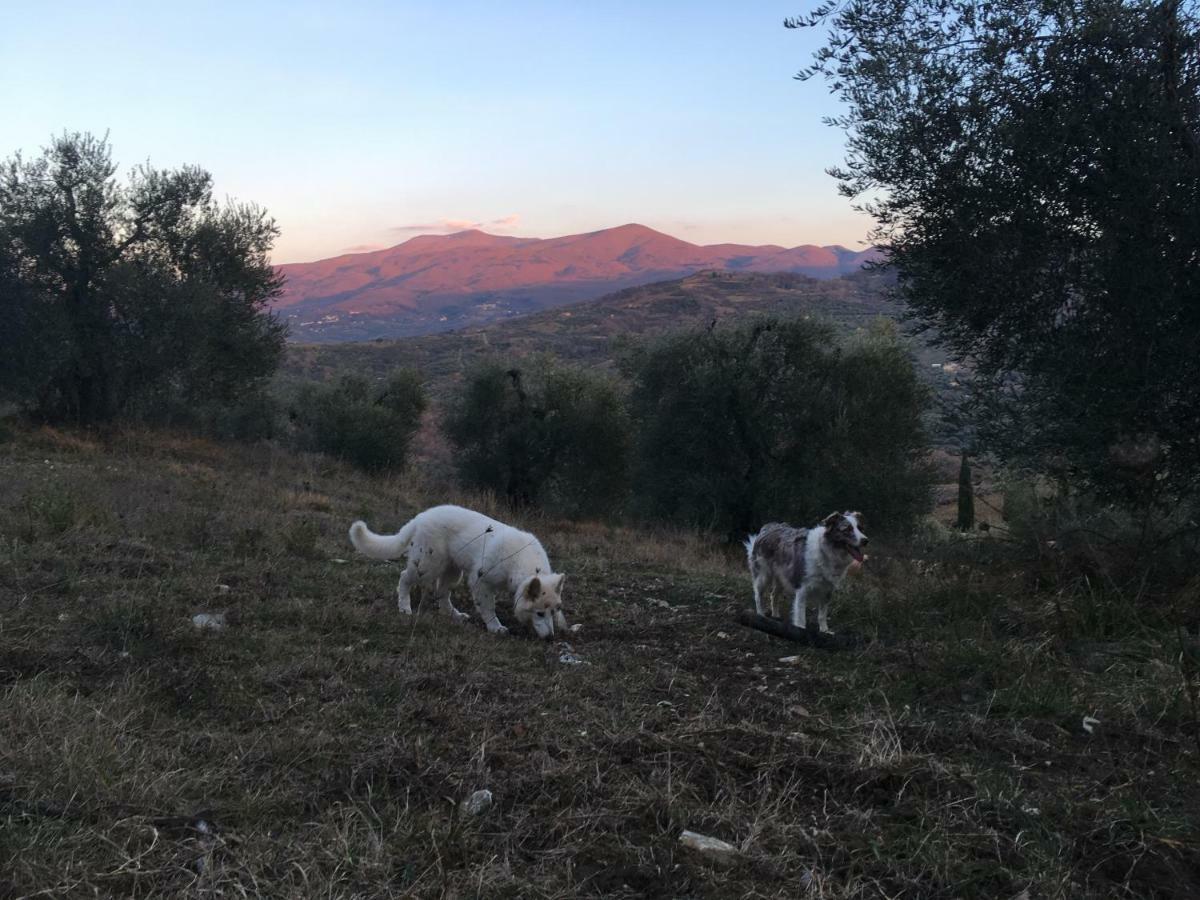 La Banditaccia Monticello Amiata Eksteriør bilde
