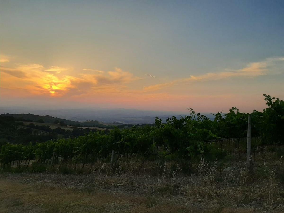 La Banditaccia Monticello Amiata Eksteriør bilde