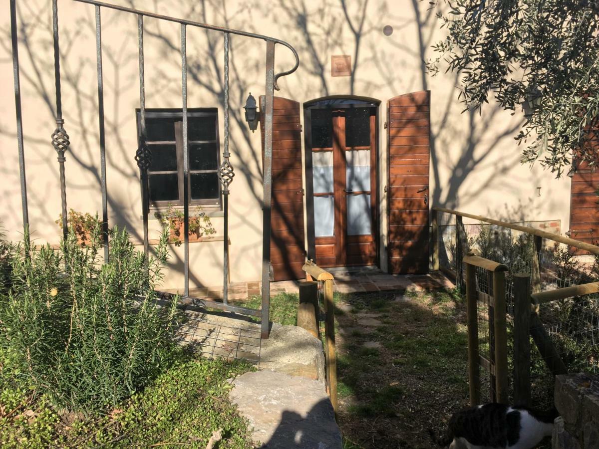 La Banditaccia Monticello Amiata Eksteriør bilde
