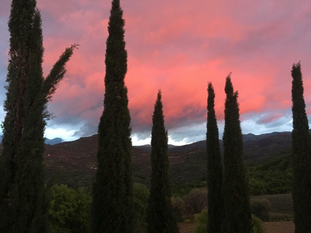 La Banditaccia Monticello Amiata Eksteriør bilde