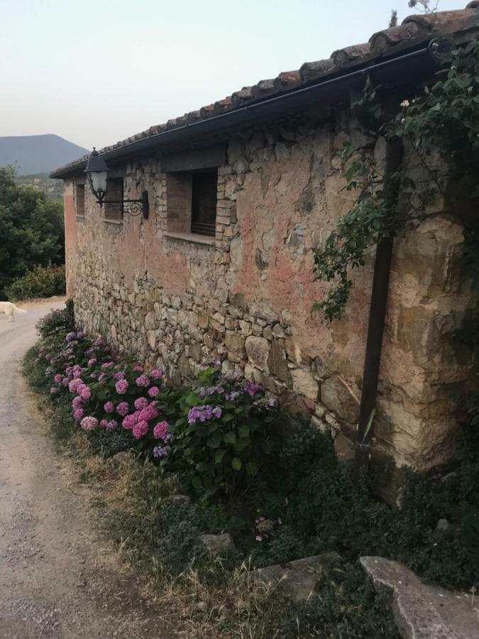 La Banditaccia Monticello Amiata Eksteriør bilde