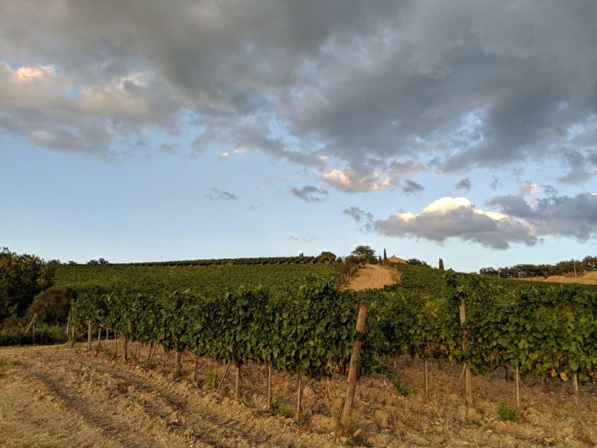 La Banditaccia Monticello Amiata Eksteriør bilde