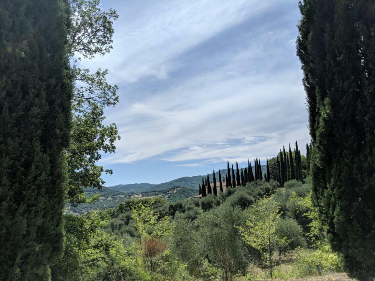 La Banditaccia Monticello Amiata Eksteriør bilde