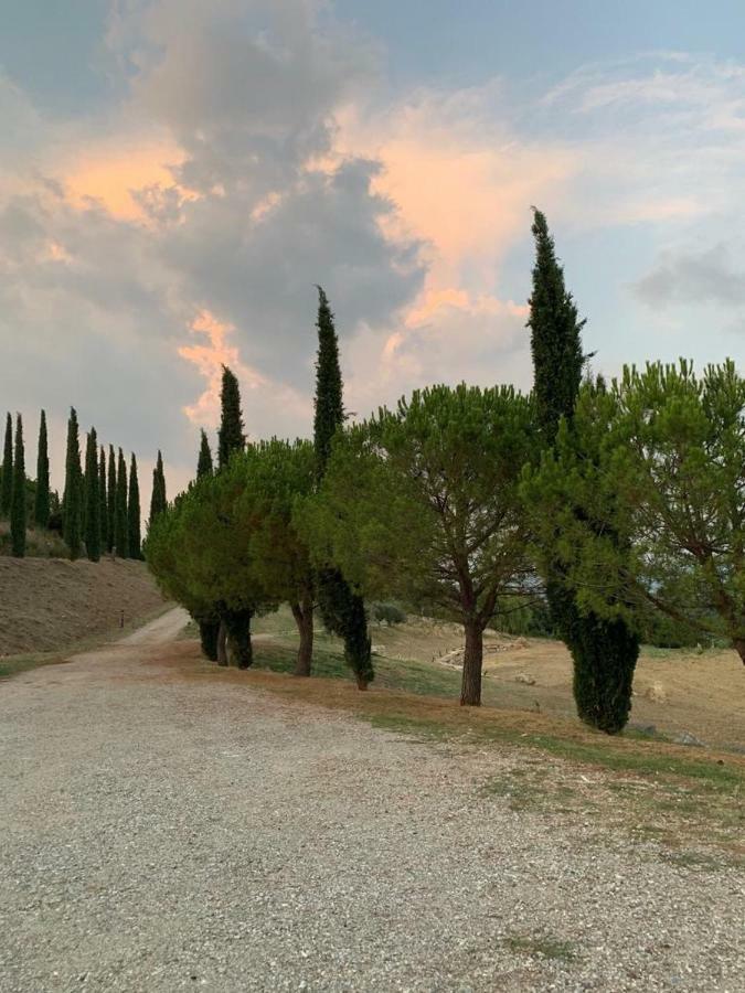 La Banditaccia Monticello Amiata Eksteriør bilde